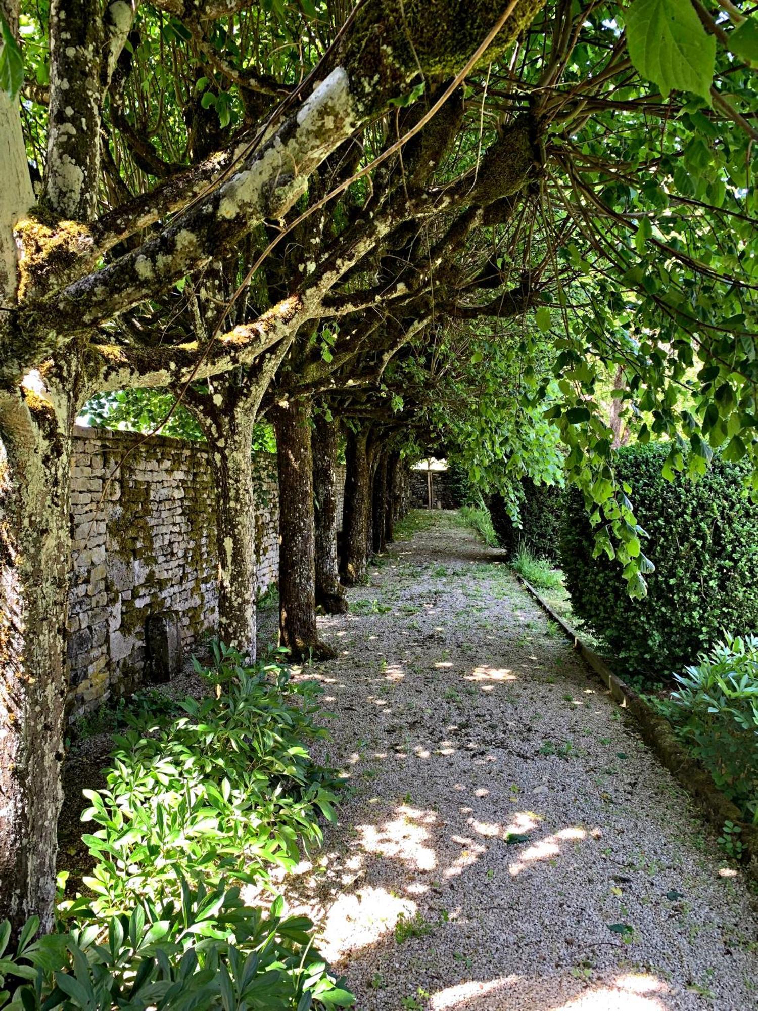 Le Clos Du Marronnier Rivieres-les-Fosses Extérieur photo